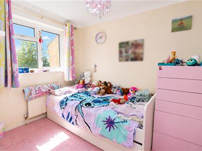 Picture 13